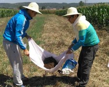 高精度土壤养分检测仪器如何检测土壤养分